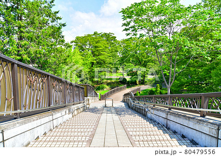 東綾瀬公園 河内橋より北側/遊戯コーナー方面を望む(東京都足立区)【2021.7】 東綾瀬公園 河内橋より北側/遊戯コーナー方面を望む(東京都足立区)【2021.7】 80479556