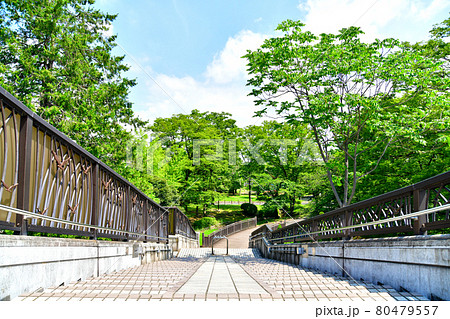 東綾瀬公園 河内橋より北側/遊戯コーナー方面を望む(東京都足立区)【2021.7】 東綾瀬公園 河内橋より北側/遊戯コーナー方面を望む(東京都足立区)【2021.7】 80479557
