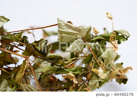 乾燥したドクダミの葉と花　ドクダミ茶 80480276