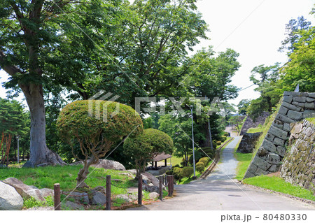 盛岡城跡公園、三ノ丸から望む二ノ丸石垣脇の小径 盛岡城跡公園、三ノ丸から望む二ノ丸石垣脇の小径 80480330