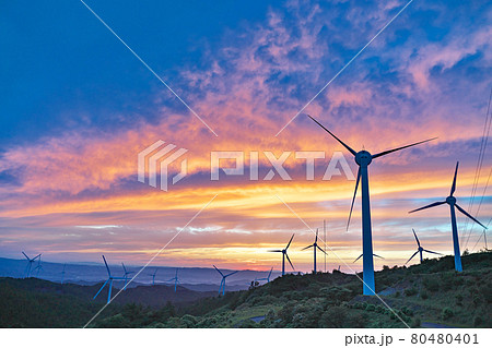 青山高原の風力発電 (夕刻)】 三重県伊賀市勝地の写真素材 [80480401 