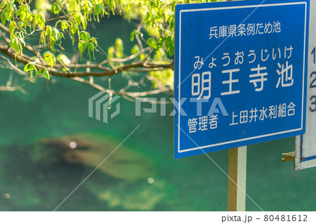 新緑の明王寺池（兵庫県条例ため池）看板（兵庫県姫路市夢前町前之庄）※作品コメント欄に撮影位置 80481612