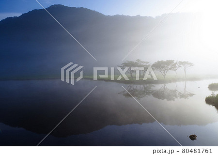 朝霧に包まれる赤城山・覚満淵【群馬県】 80481761