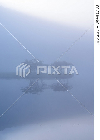 朝霧に包まれる赤城山・覚満淵【群馬県】 朝霧に包まれる赤城山・覚満淵【群馬県】 80481783