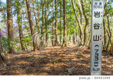 宍粟50名山 五臓山~岩谷山を周遊(兵庫県宍粟市一宮町深河谷)※作品コメント欄に撮影位置 宍粟50名山 五臓山~岩谷山を周遊(兵庫県宍粟市一宮町深河谷)※作品コメント欄に撮影位置 80481899