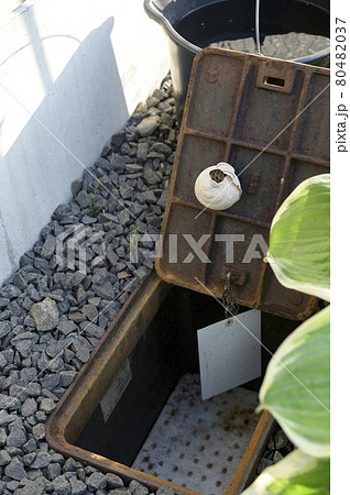 水道メーターに作られたハチの巣 80482037