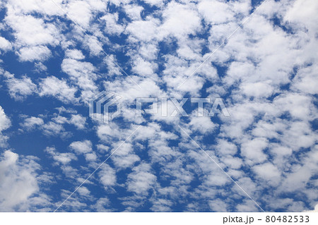高積雲_ひつじぐも_尾瀬 80482533