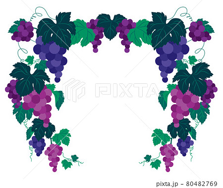 ぶどうのイラストの装飾フレームのイラスト素材