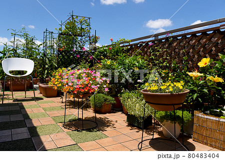 夏空が広がるルーフバルコニー ガーデニングでお花がいっぱい おうち時間を楽しもうの写真素材