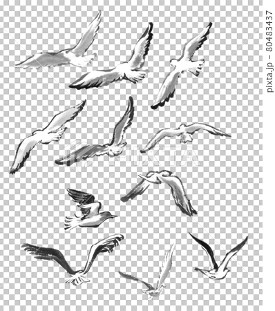 水墨画技法で描かれたカモメ 80483437