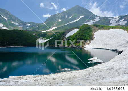 みくりが池より望む夏の立山 みくりが池より望む夏の立山 80483663