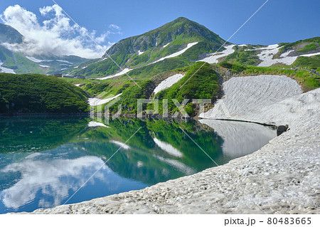みくりが池より望む夏の立山 みくりが池より望む夏の立山 80483665