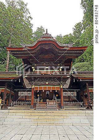 諏訪大社下社秋宮（諏訪） 80483748