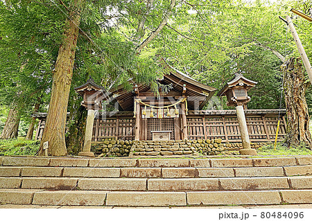 諏訪大社上社前宮(茅野) 諏訪大社上社前宮(茅野) 80484096