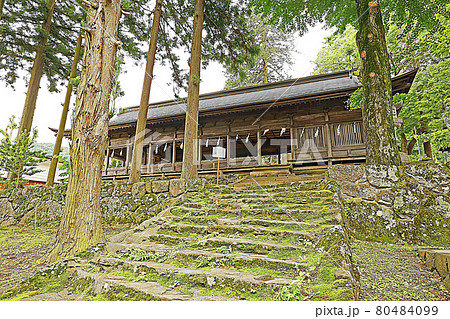 諏訪大社上社前宮(茅野) 諏訪大社上社前宮(茅野) 80484099