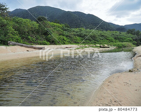沖縄県 石垣島 米原ビーチ 80484773
