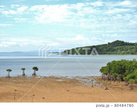 沖縄県 石垣島 沖縄県 石垣島 80484780