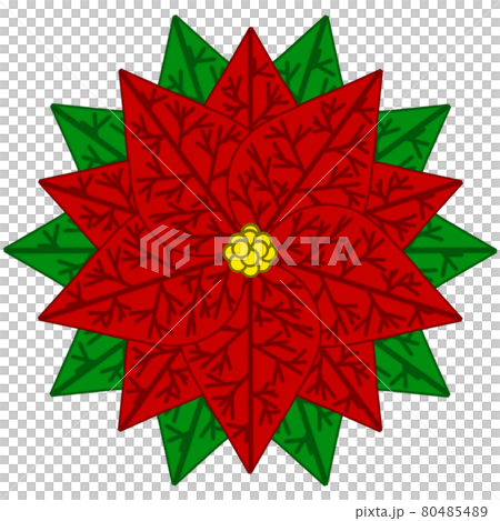 5-leaf poinsettia (red) 80485489