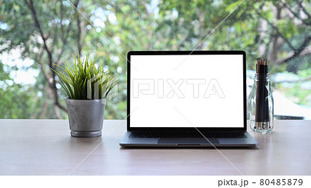 Computer laptop with blank display, houseplant and pencil holder on white table. Computer laptop with blank display, houseplant and pencil holder on white table. 80485879