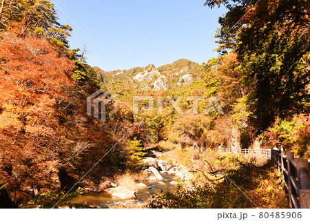 昇仙峡 紅葉 昇仙峡 紅葉 80485906