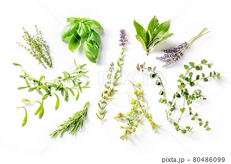 Herbes de Provence with lavender, traditional French aromatic herbs Herbes de Provence with lavender, traditional French aromatic herbs 80486099