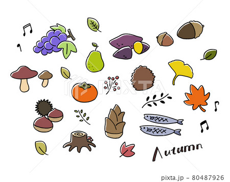秋の手書きイラスト 秋の食材 のイラスト素材
