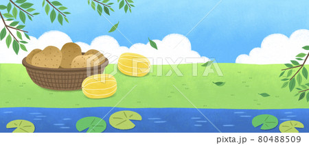 potatoes and oriental Korean melon in summer field 80488509