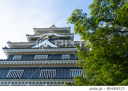 【岡山県】 岡山城 【岡山県】 岡山城 80489525