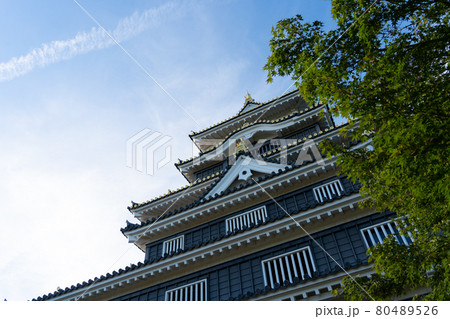 【岡山県】　岡山城 80489526
