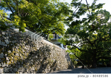 【岡山県】　岡山城 80489586