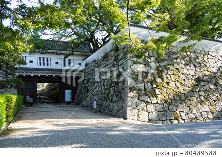 【岡山県】　岡山城 80489588