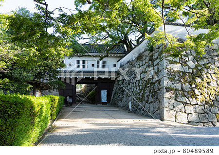 【岡山県】　岡山城 80489589