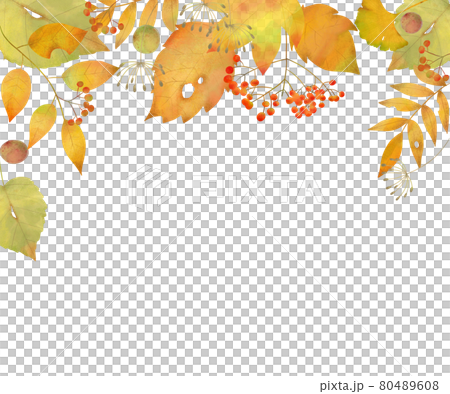 Fashionable frame vector material of autumn leaves 80489608