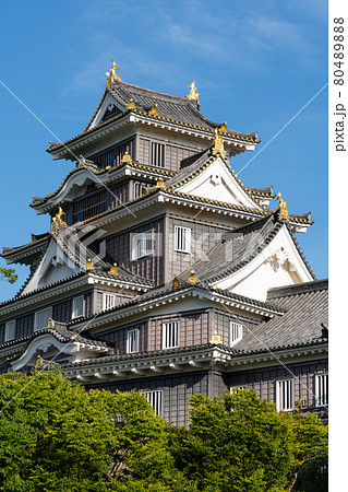 【岡山県】　岡山城 80489888