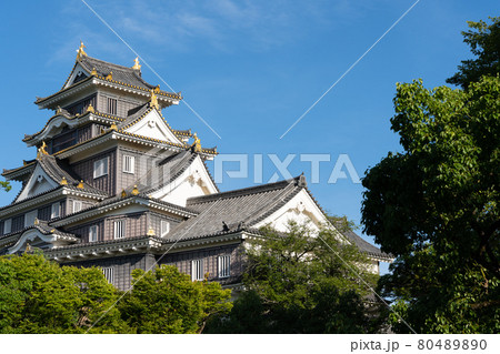 【岡山県】　岡山城 80489890