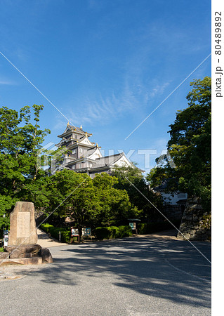 【岡山県】　岡山城 80489892