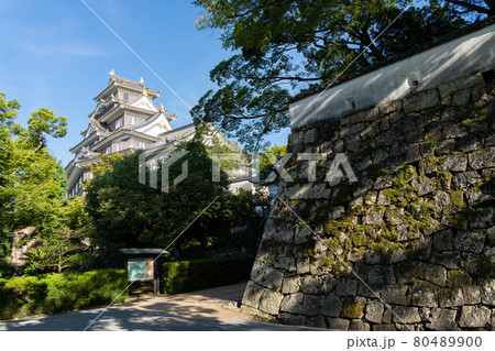 【岡山県】　岡山城 80489900