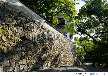 【岡山県】　岡山城 80489904