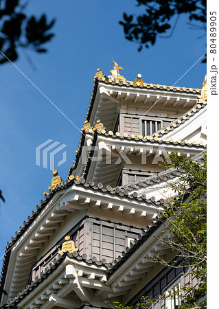 【岡山県】　岡山城 80489905