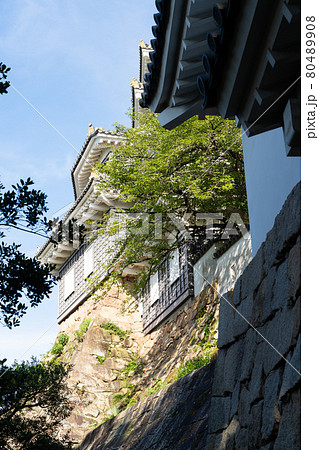 【岡山県】　岡山城 80489908