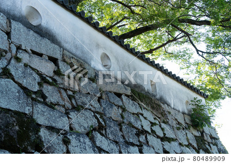 【岡山県】　岡山城 80489909