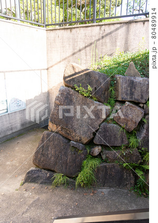 【岡山県】　岡山城 80489914