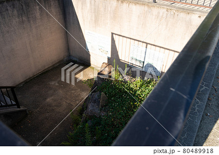 【岡山県】　岡山城 80489918