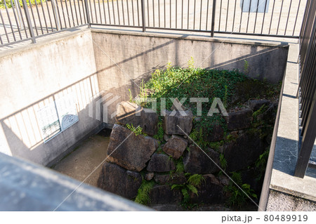 【岡山県】　岡山城 80489919