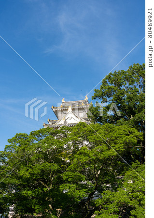【岡山県】 岡山城 【岡山県】 岡山城 80489921