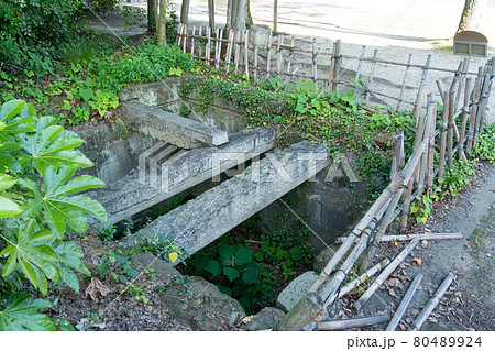 【岡山県】　岡山城 80489924