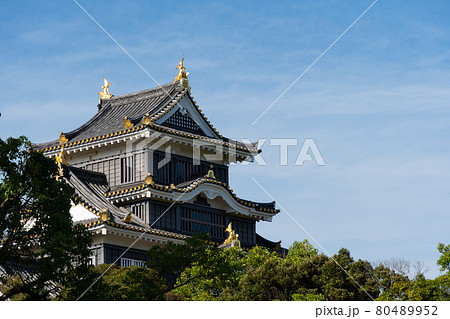 【岡山県】　岡山城 80489952