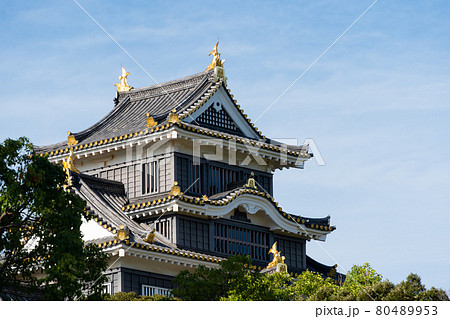 【岡山県】　岡山城 80489953