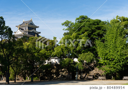 【岡山県】　岡山城 80489954