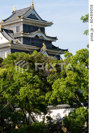【岡山県】 岡山城 【岡山県】 岡山城 80489956